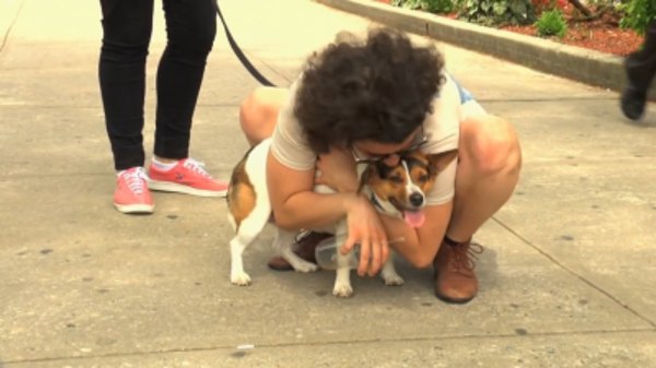 broad city vchat broad city vchat