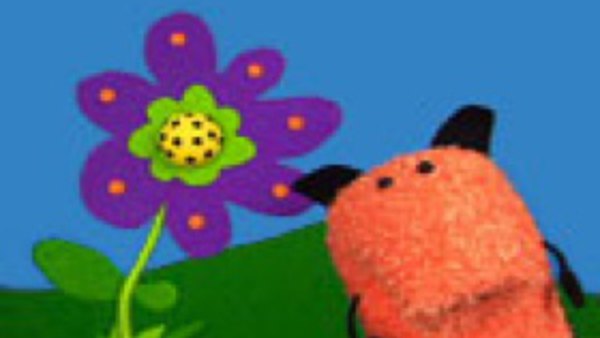 Curious Buddies Season 1 Episode 1