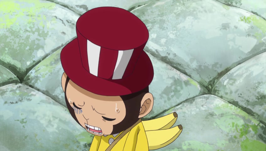 Screenshots Of One Piece Episode 779