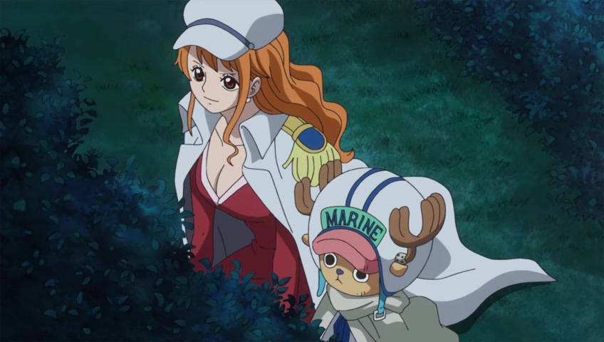 Screenshots Of One Piece Episode 781