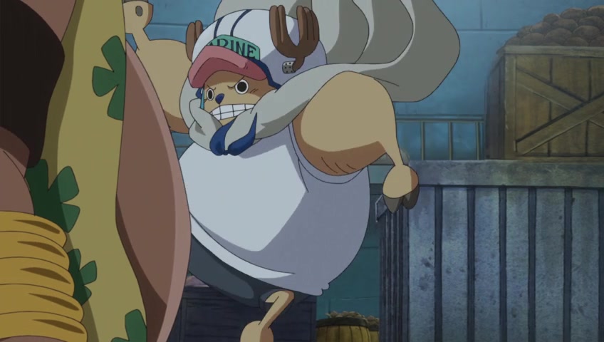 Screenshots Of One Piece Episode 781