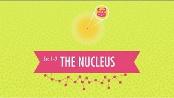 nucleus app keeps crashing