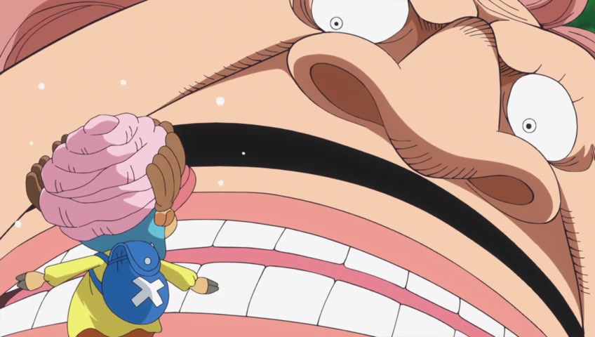 Screenshots Of One Piece Episode 792