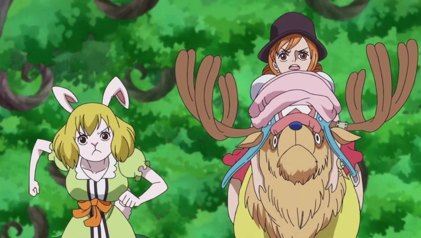 Screenshots Of One Piece Episode 792