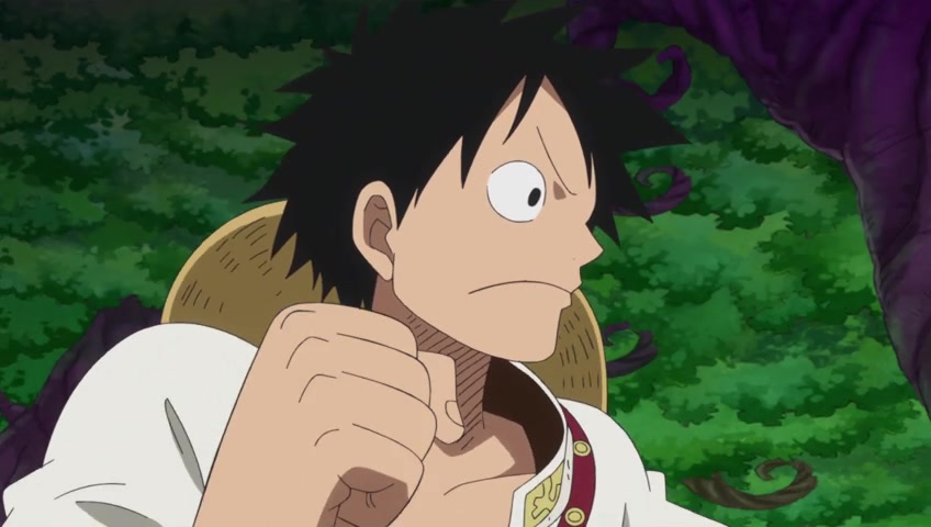 Screenshots Of One Piece Episode 794