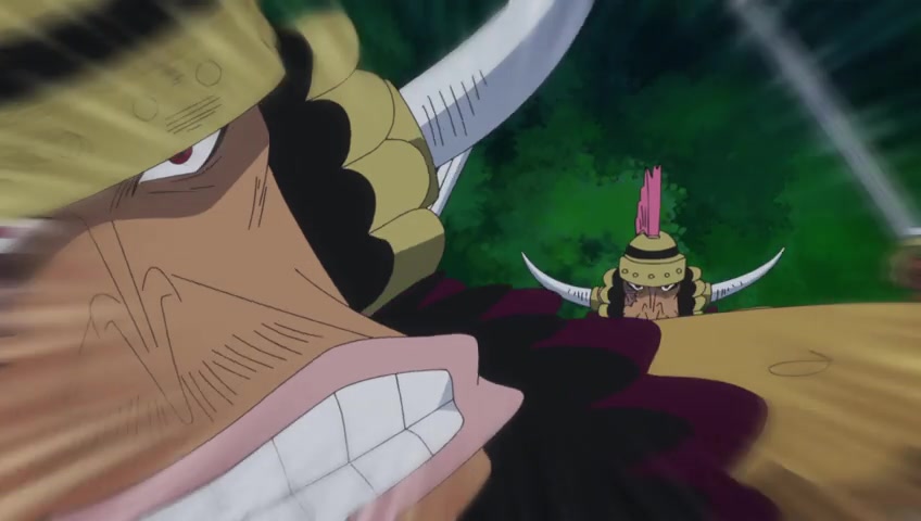 Screenshots of One Piece Episode 800