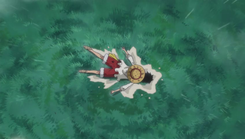 Screenshots of One Piece Episode 811