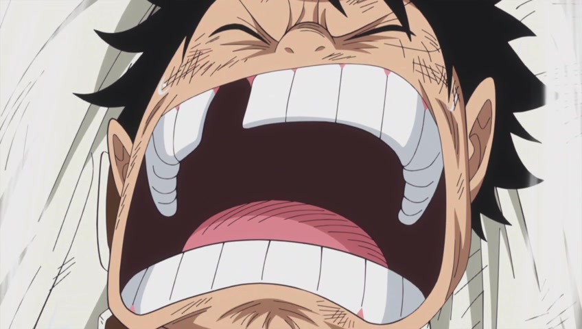 Screenshots Of One Piece Episode 817