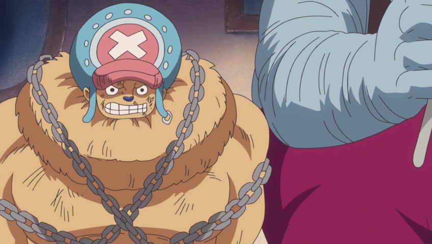 Screenshots of One Piece Episode 812