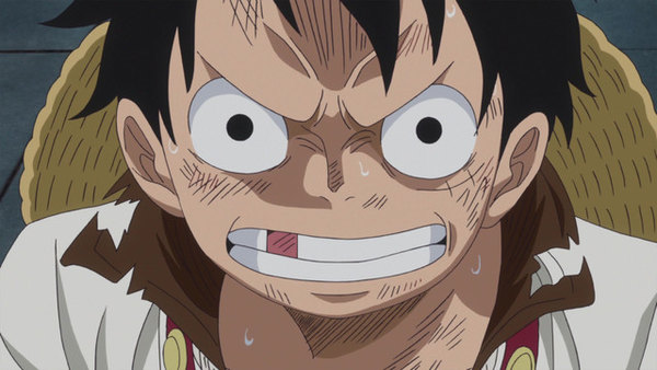 Watch One Piece Episode 804