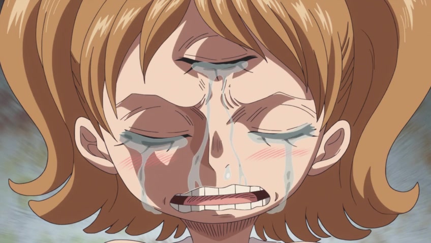 Screenshots of One Piece Episode 832