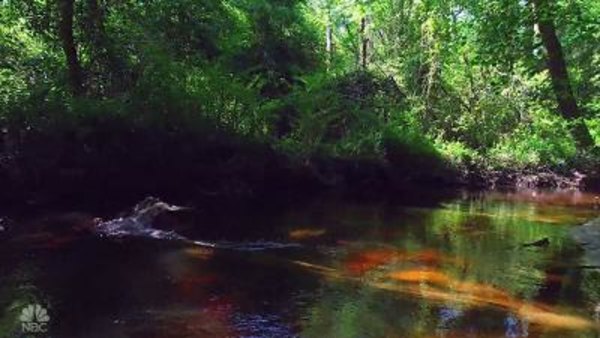 the creek dateline the creek dateline