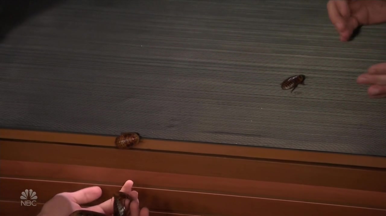 Screenshot of The Tonight Show Starring Jimmy Fallon Season 6 Episode 71 (S06E71)