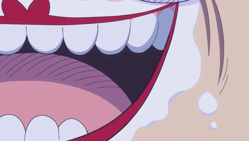 Screenshot of One Piece Episode 876