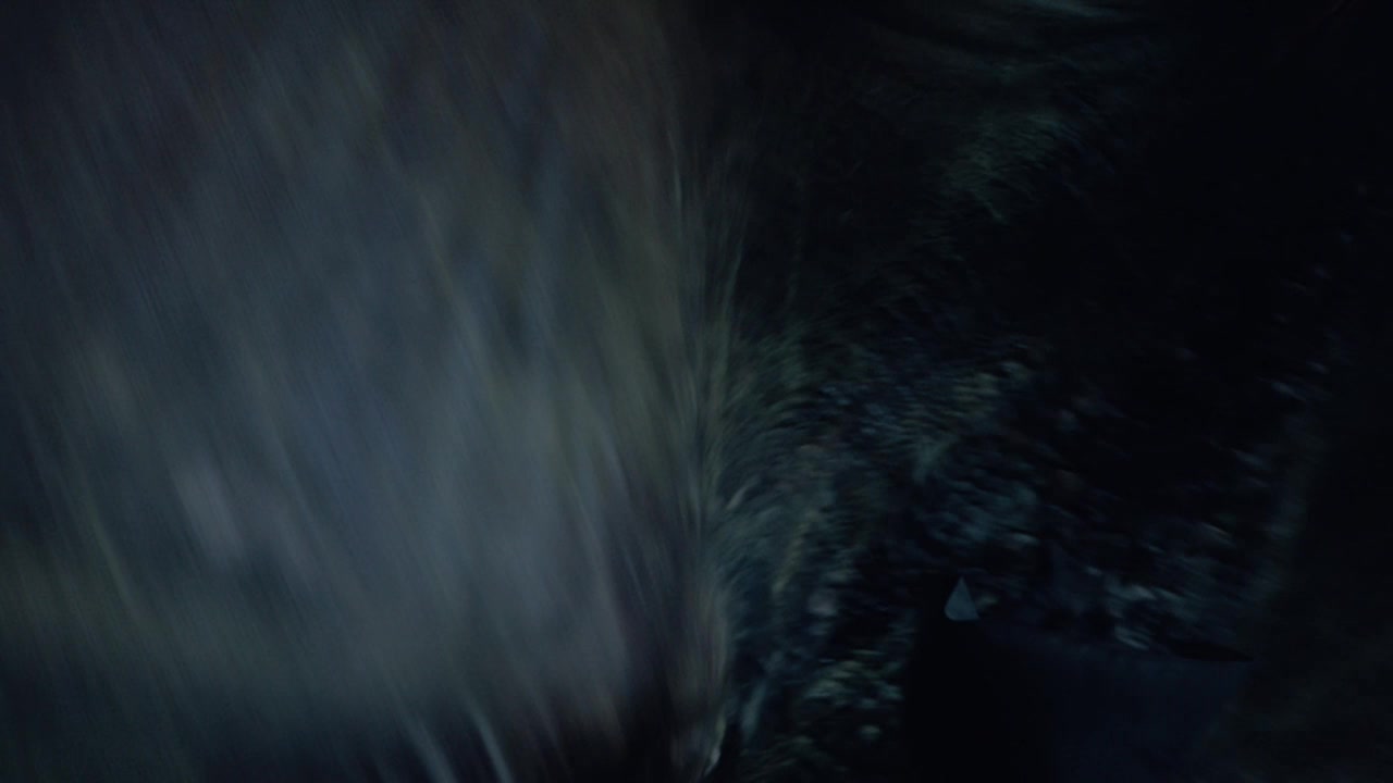 Screenshot of Game of Thrones Season 8 Episode 3 (S08E03)