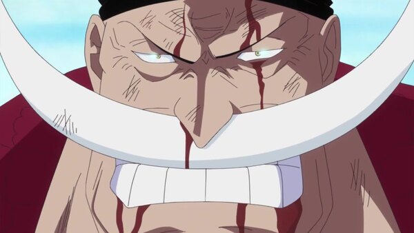 One Piece 890 Vostfr 11 Anime