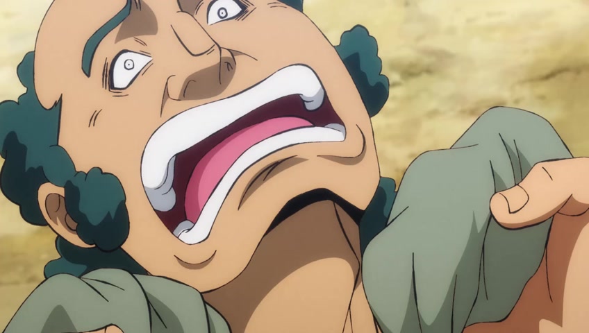 Screenshots Of One Piece Episode 904