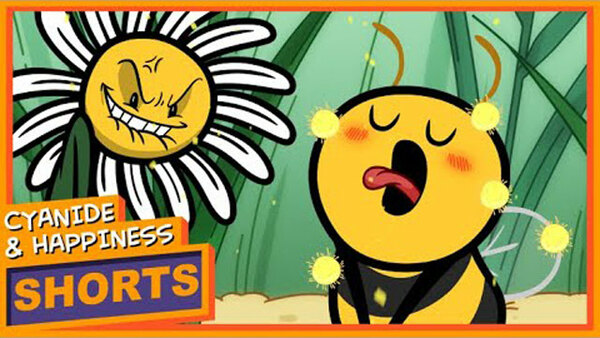 Cyanide And Happiness Season 2 Stream Cyanide And Happiness Season 2 Stream