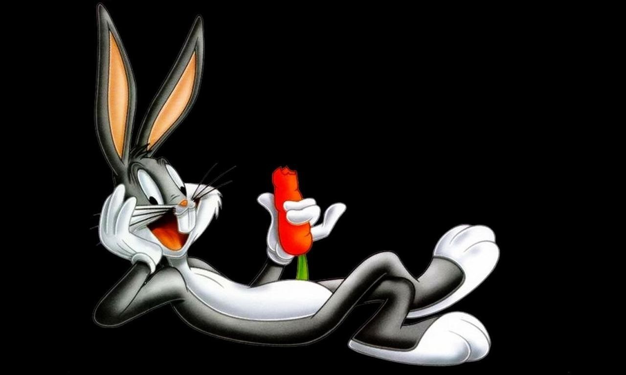 Bugs Bunny And Road Runner