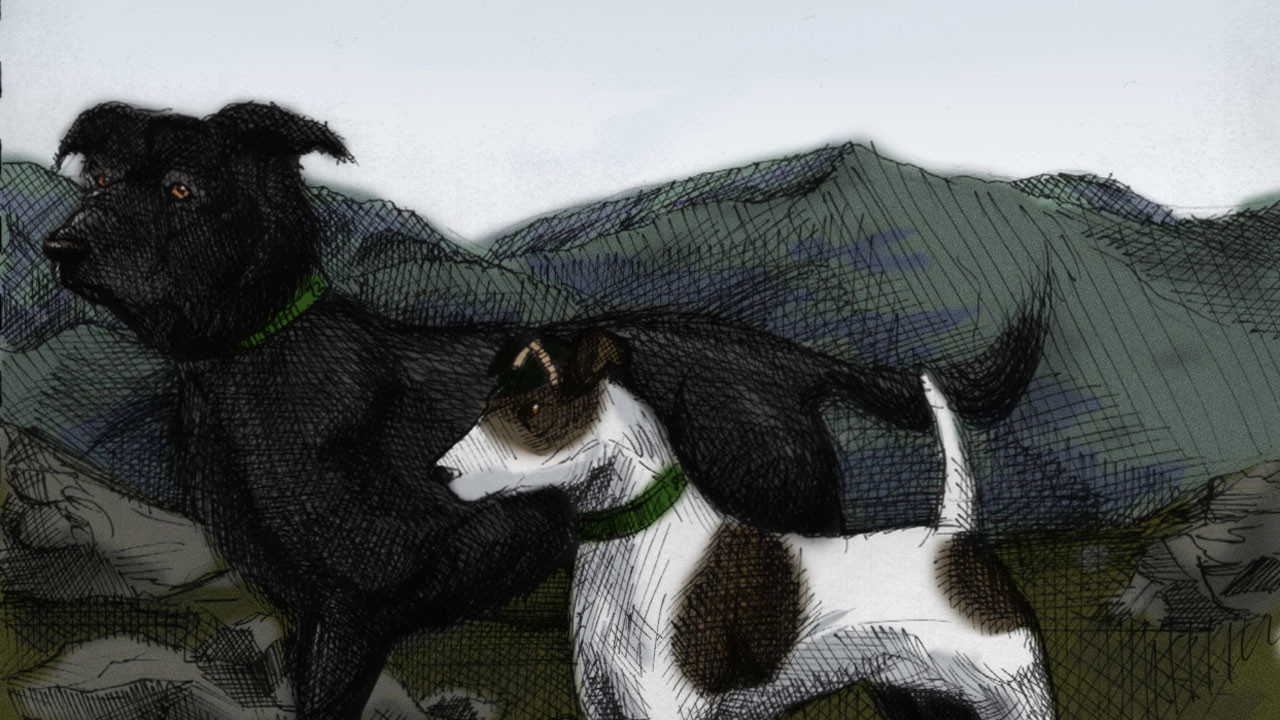 the plague dogs novel the plague dogs novel