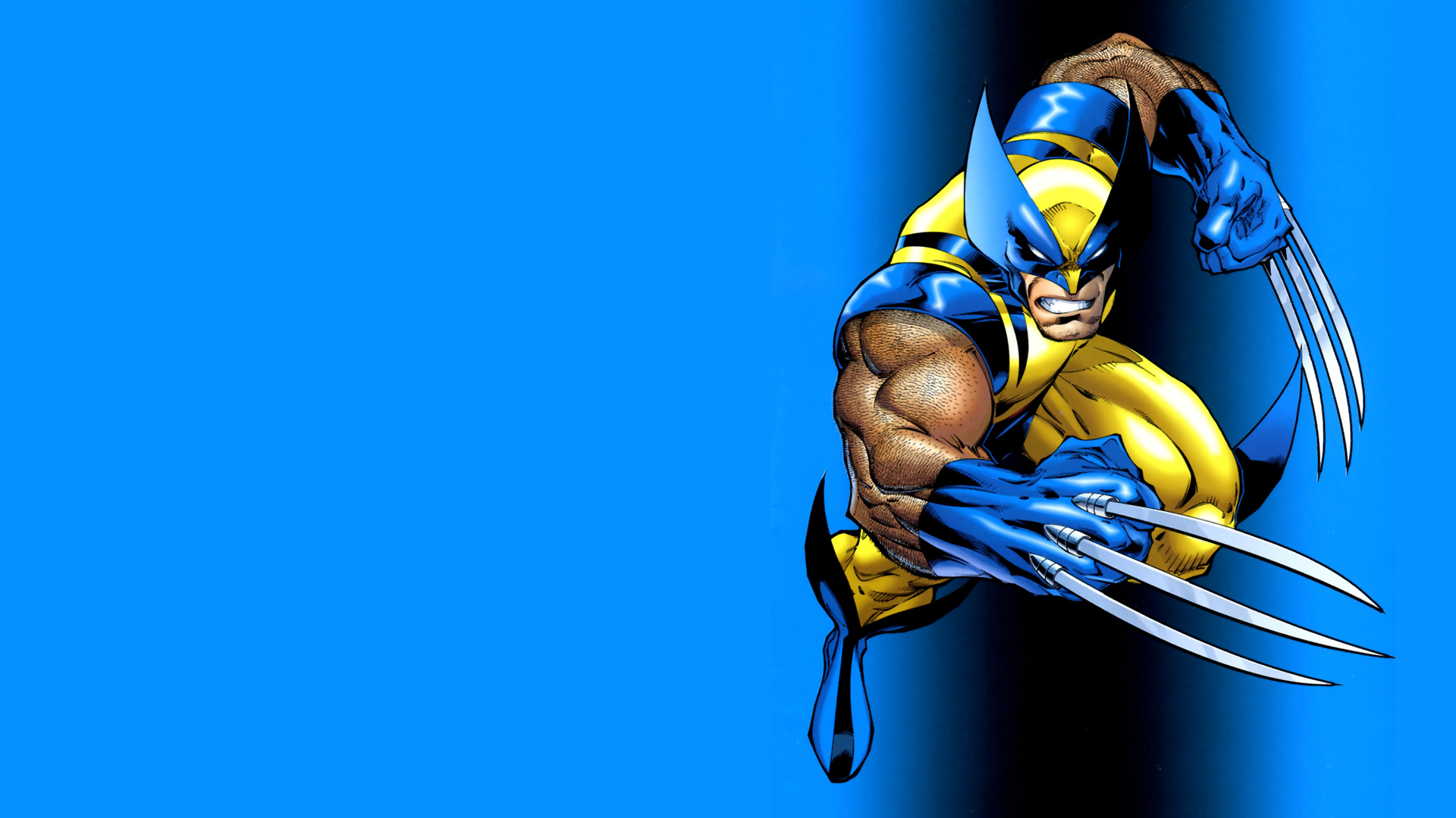 2013 Wolverine: Origin