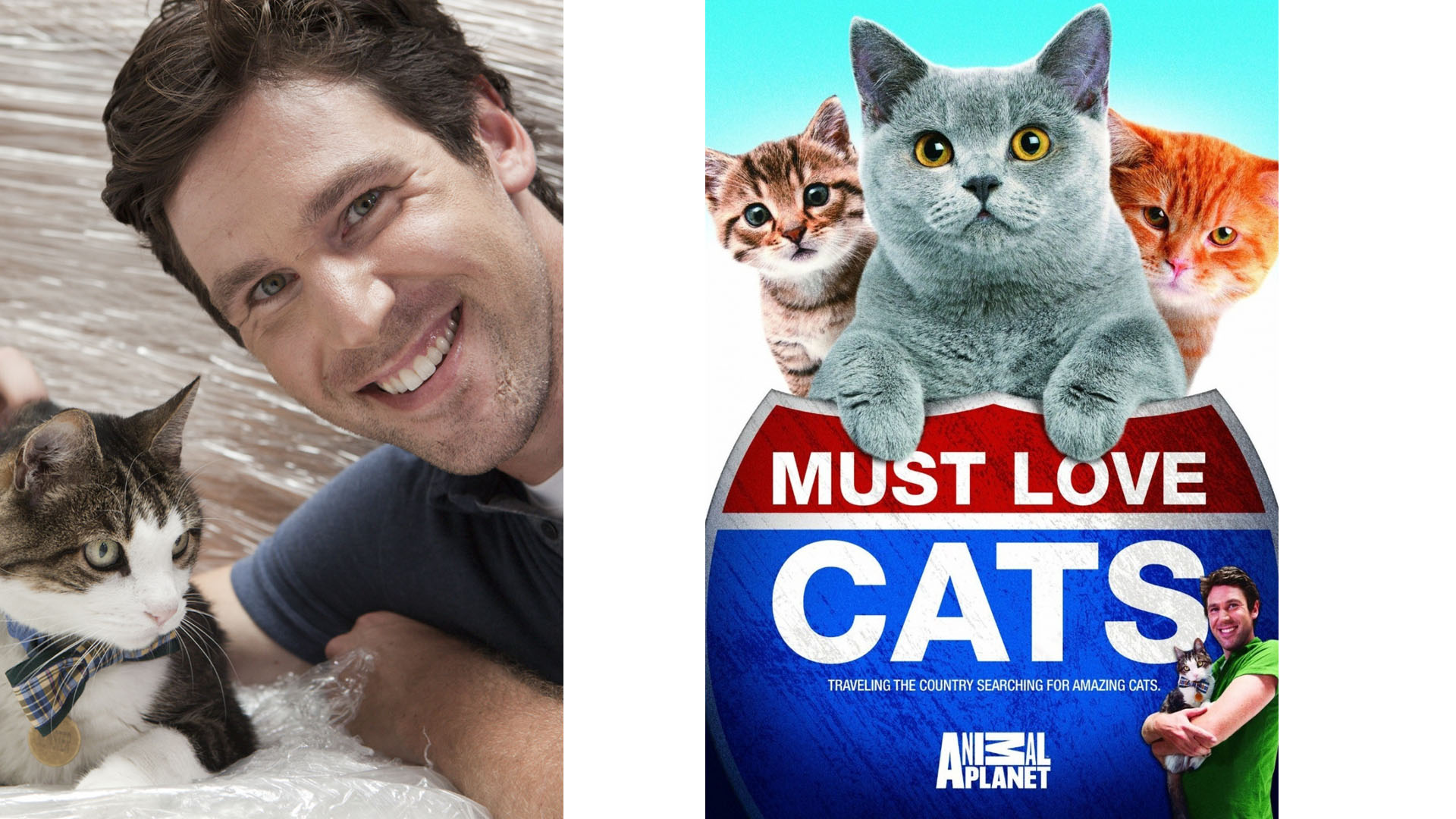 Must Love Cats episodes (TV Series 2011 - 2012)