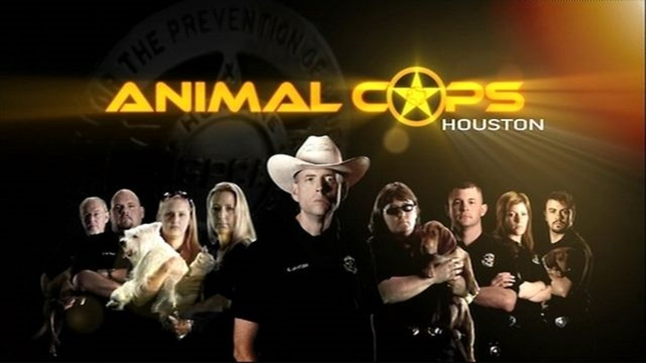 Animal Cops Houston (TV Series 2003 2015)