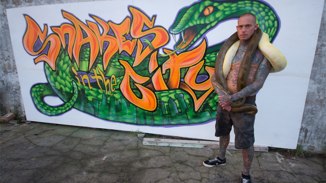 Snakes In The City (TV Series 2014 Now)