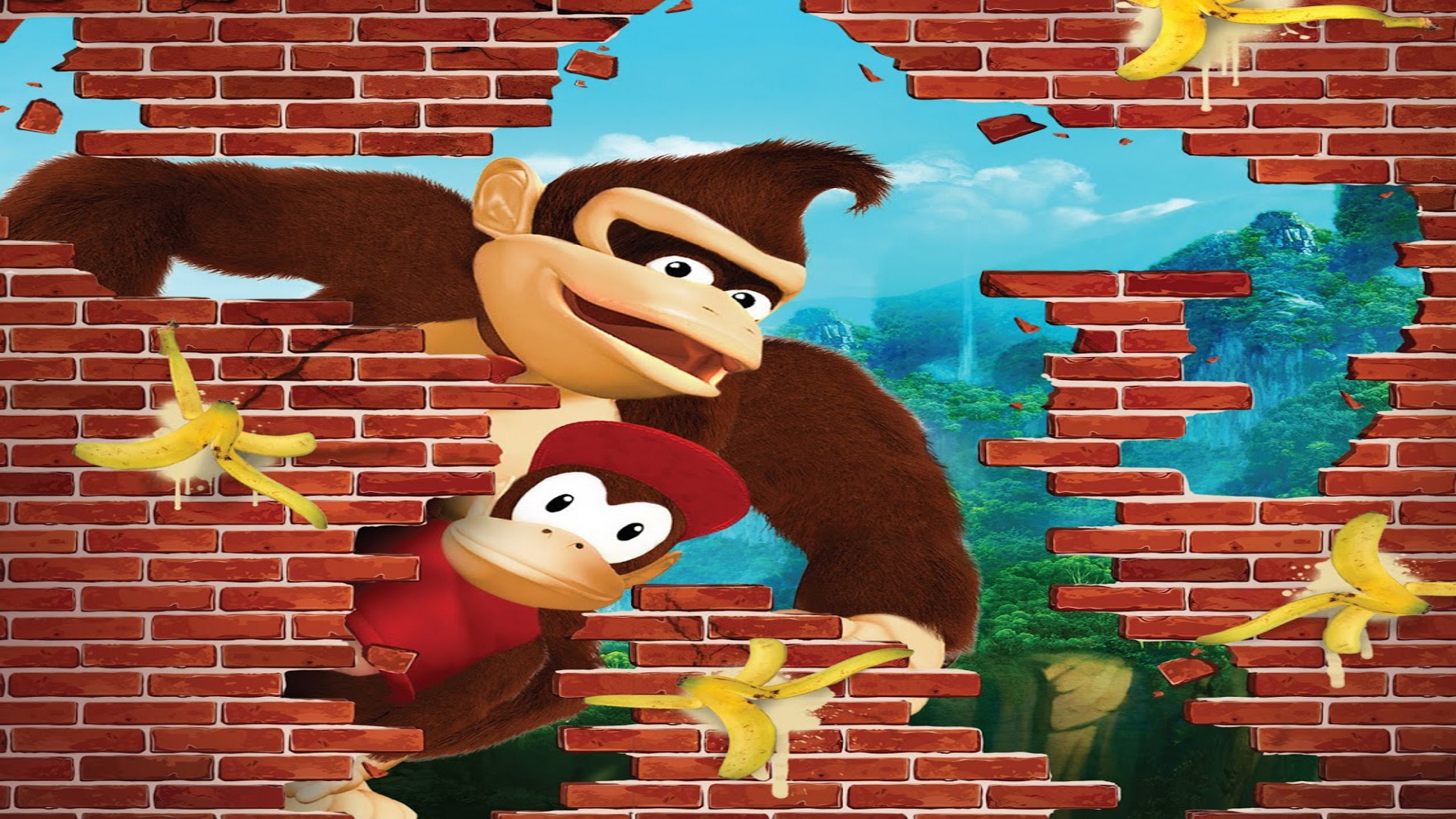 donkey kong country tv series