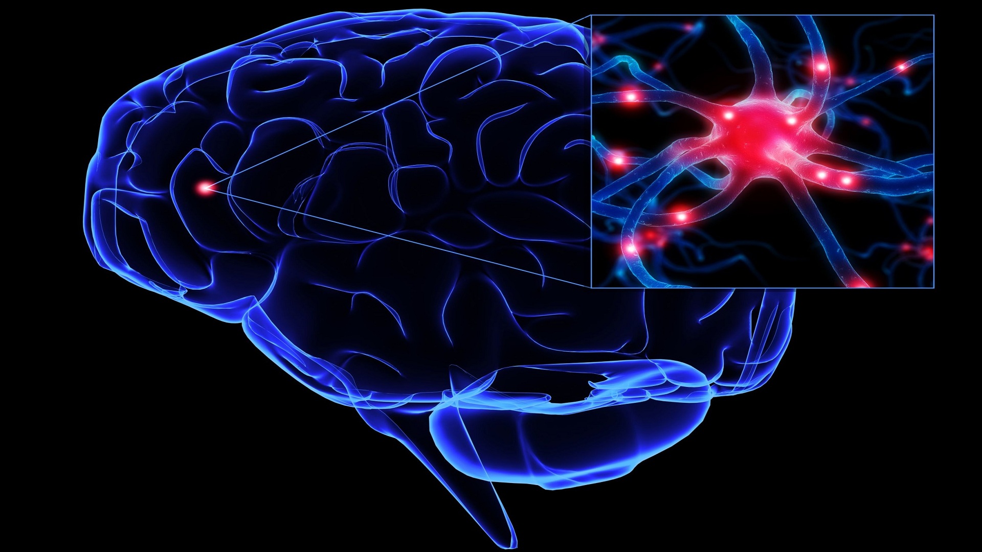 Brain brilliant dating