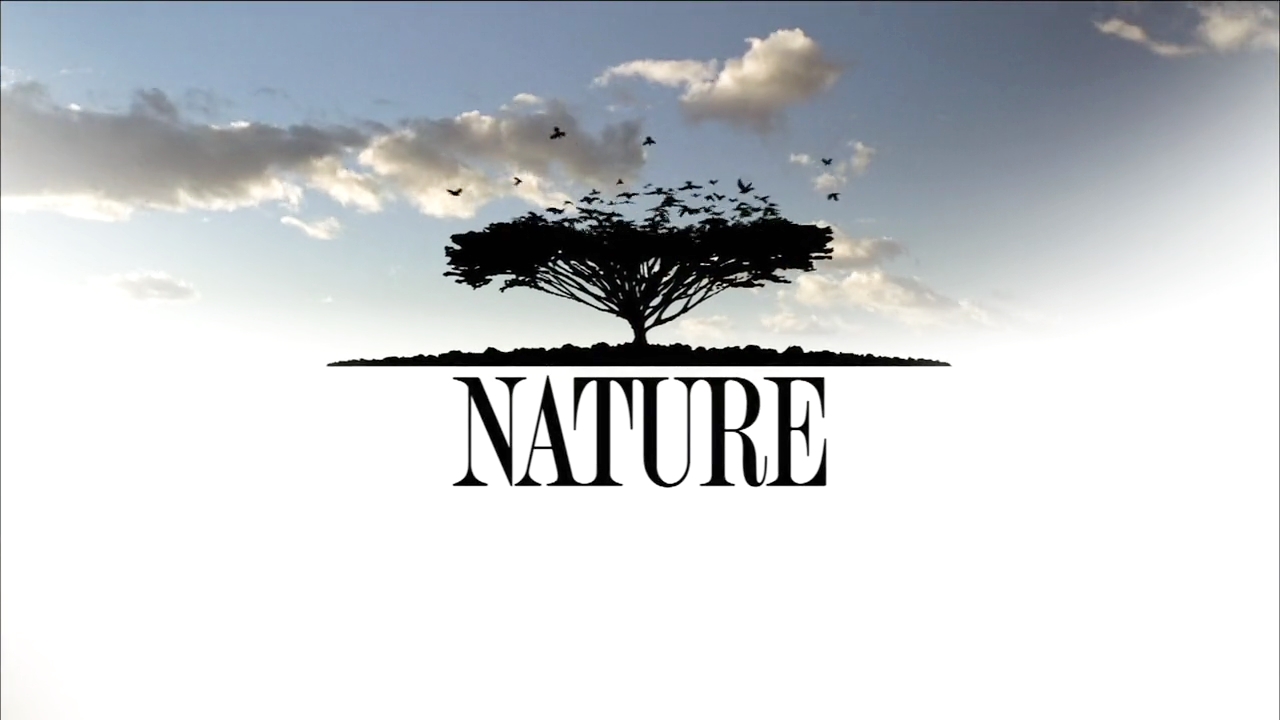Nature (TV Series 1982 Now)