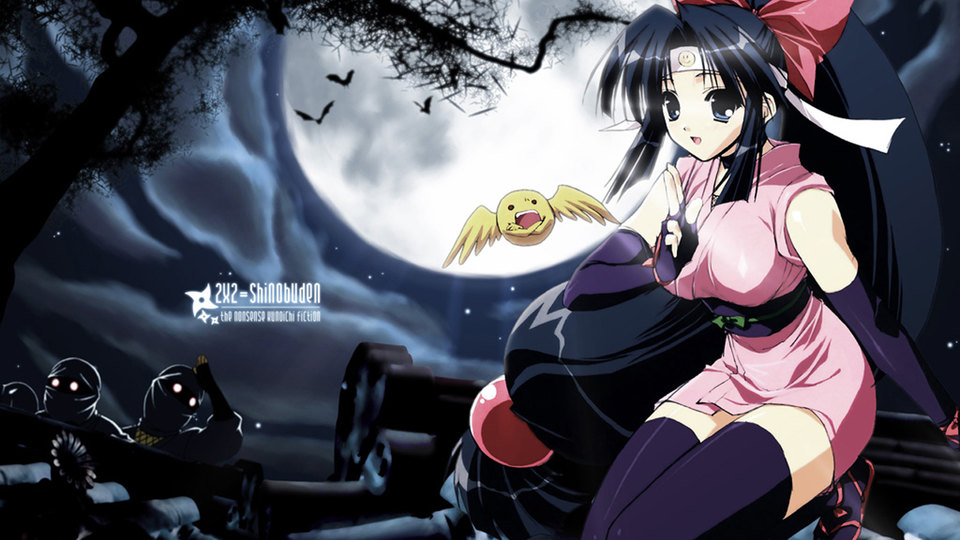 Ninin ga Shinobuden The Nonsense Kunoichi Fiction (Anime