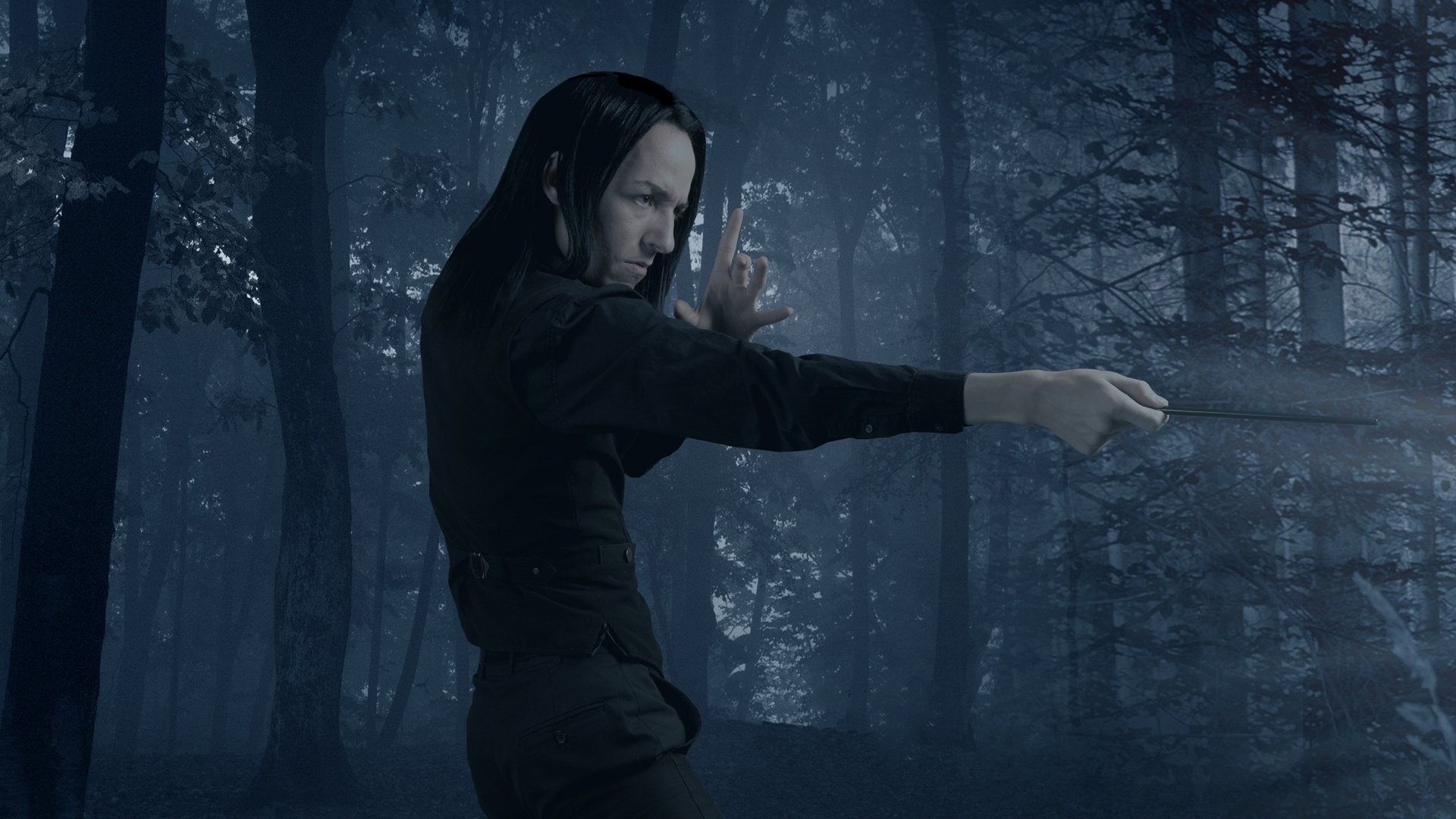 Severus Snape And The Marauders Dvd