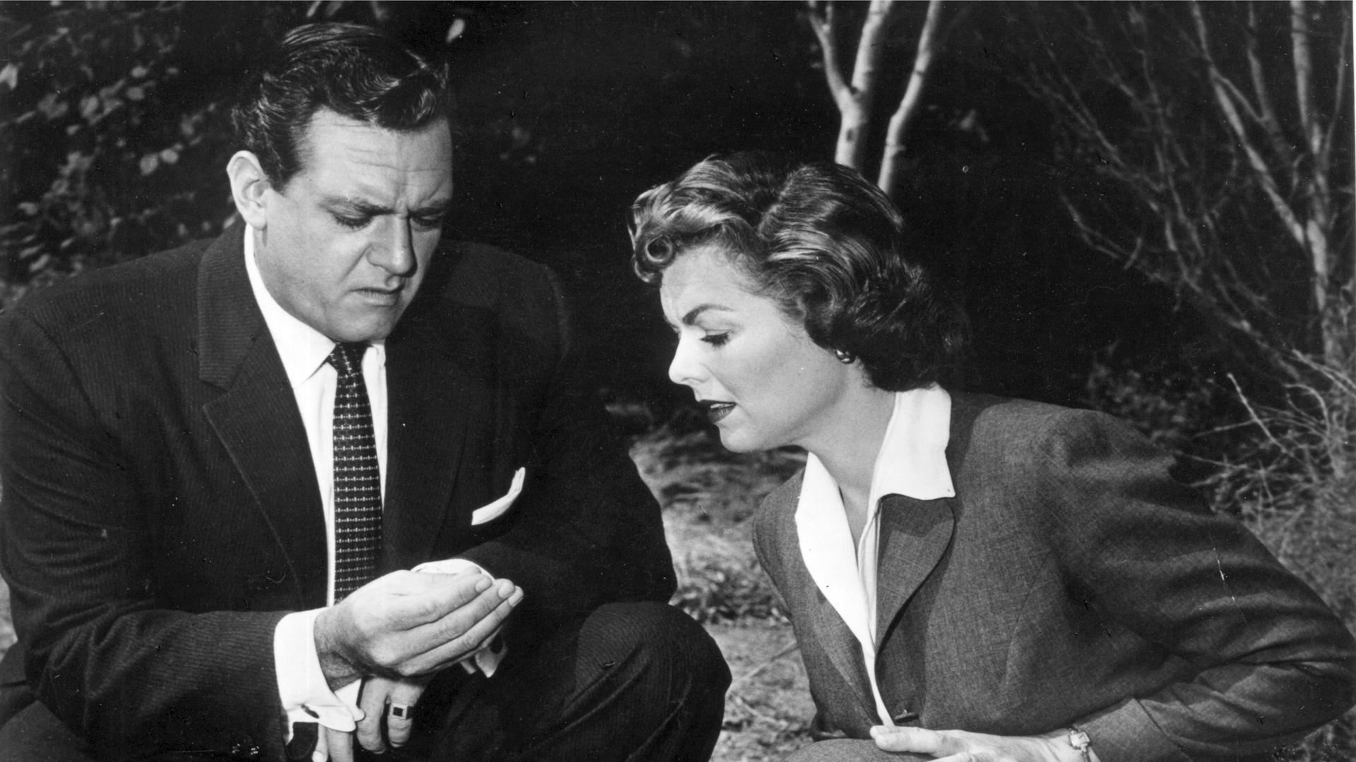 Perry Mason (TV Series 1934 1966)