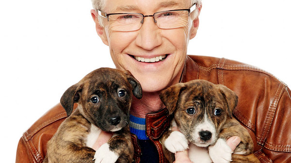 Paul O'Grady: For the Love of Dogs Season 6 Episode 1