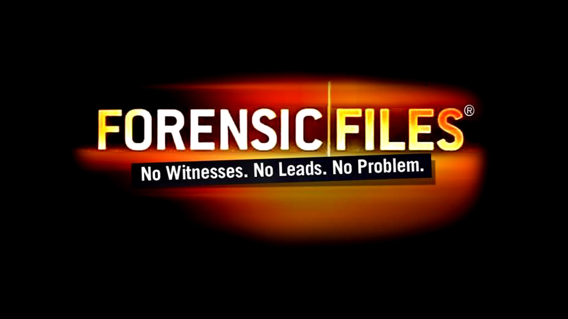 Forensic Files (TV Series 1996 2016)