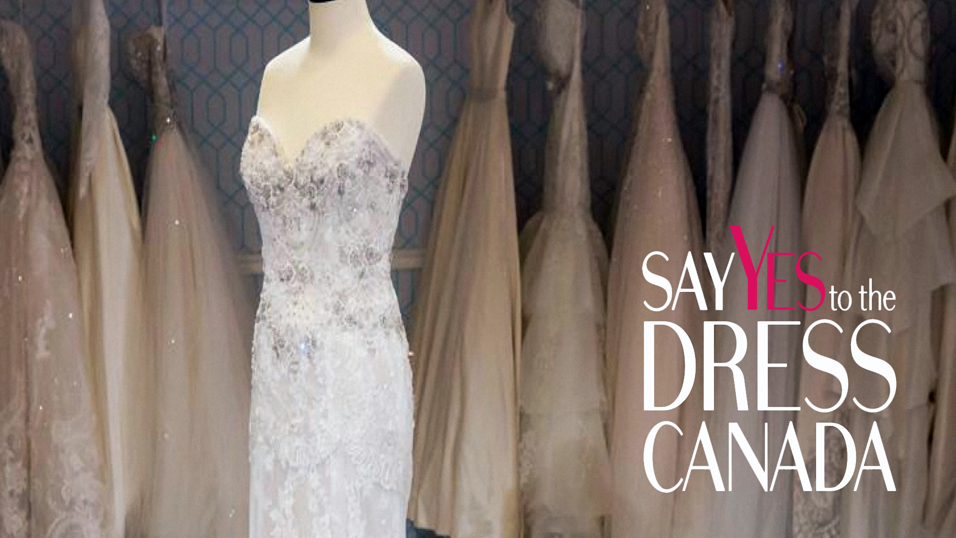 Say Yes to the Dress Canada (TV Series 2015 2016)