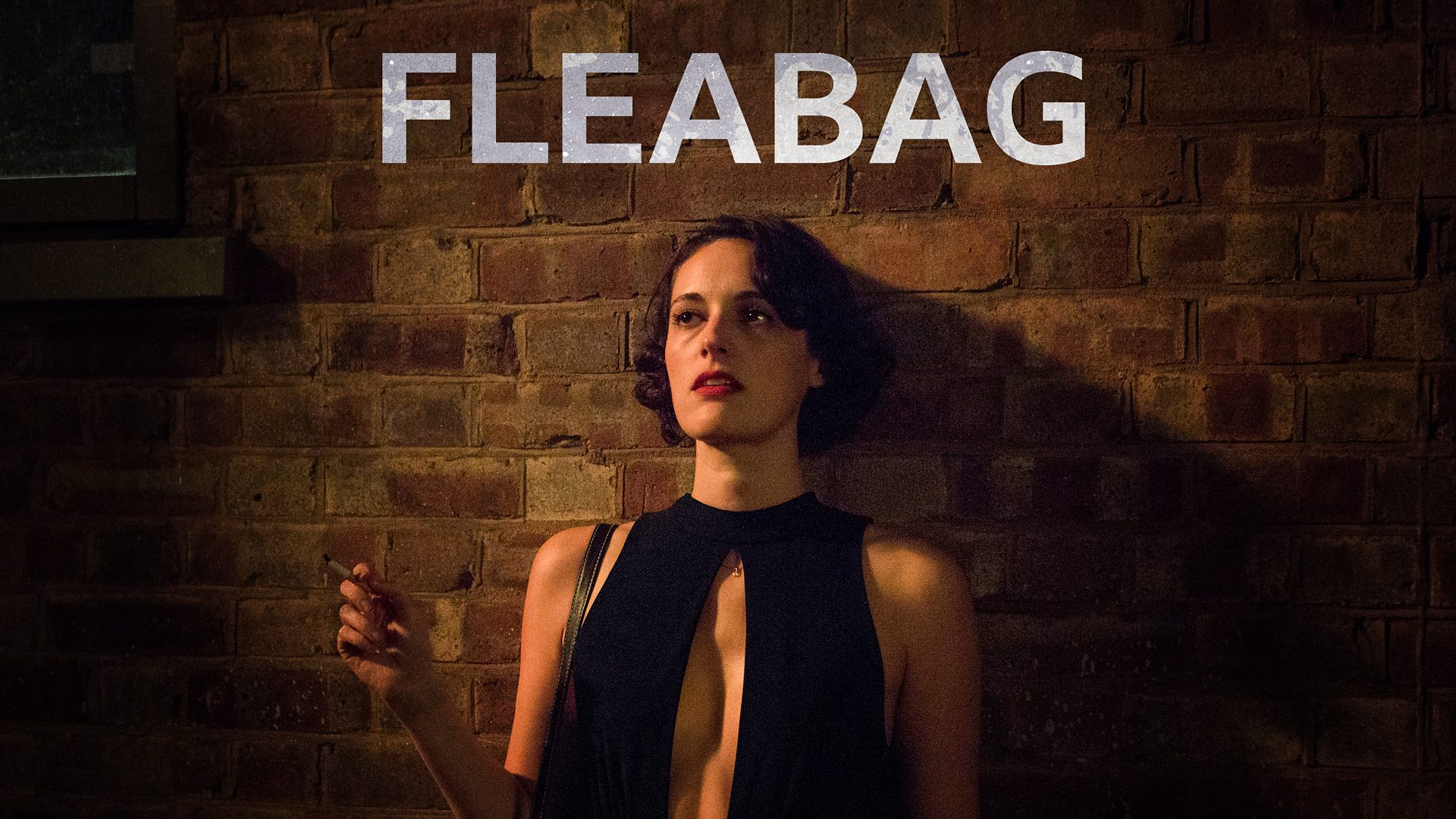 Fleabag TV Series 2016 2019