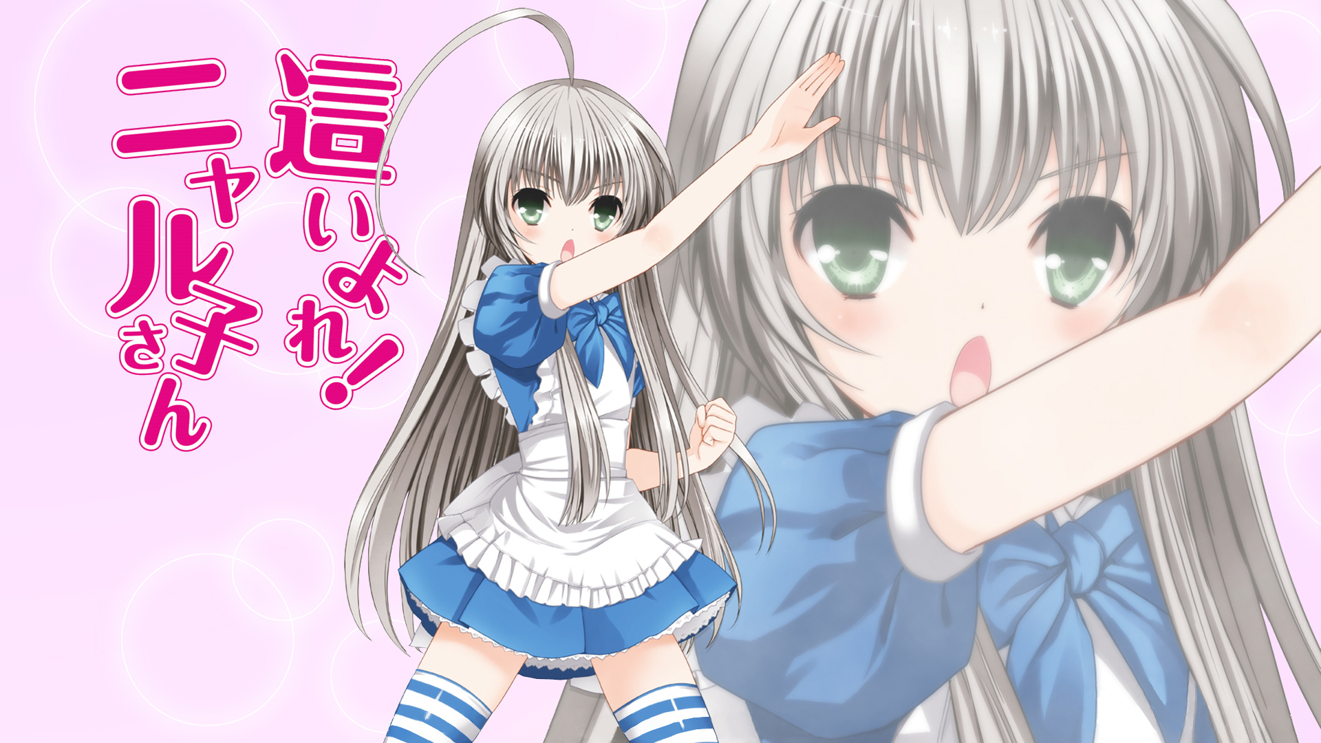 這いよれ！ニャル子さん アニメ