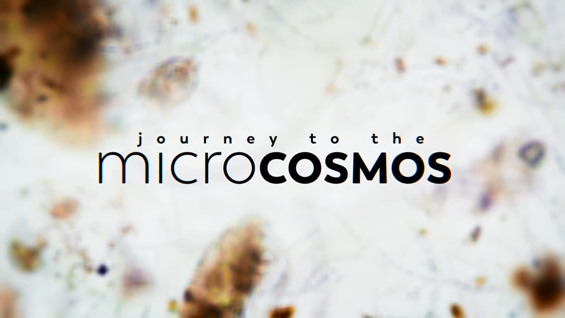journey to microcosmos