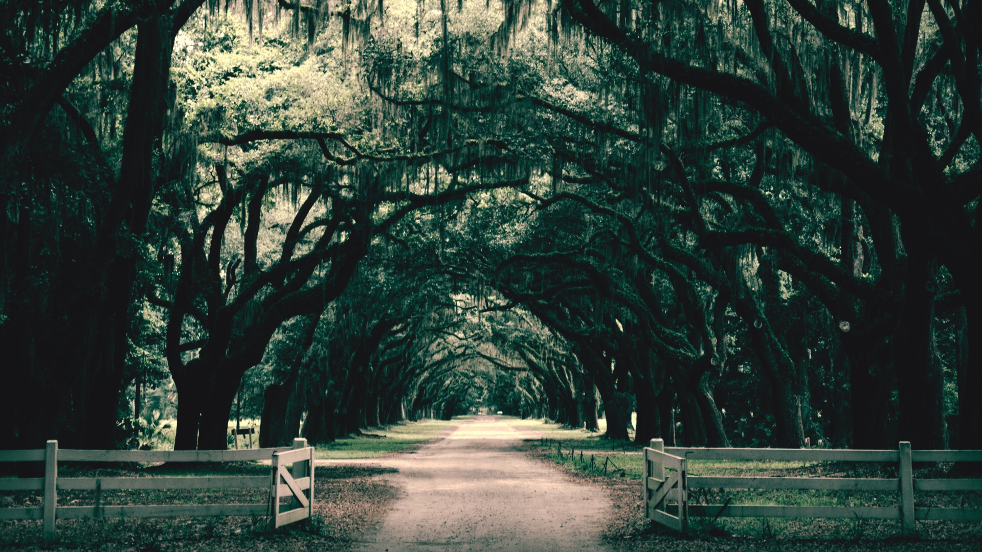 southern-gothic-tv-series-2020-now