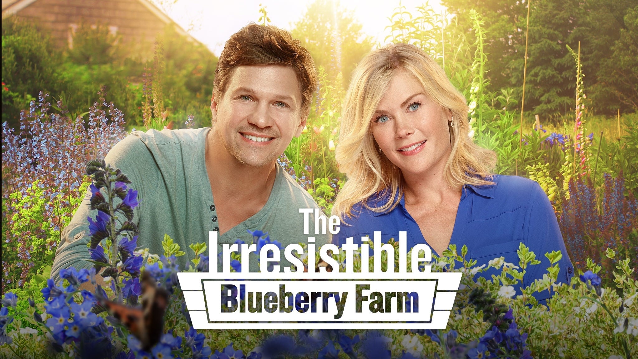 The Irresistible Blueberry Farm (2016)