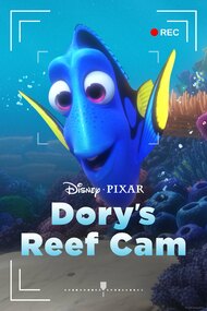 2020 Dory's Reef Cam