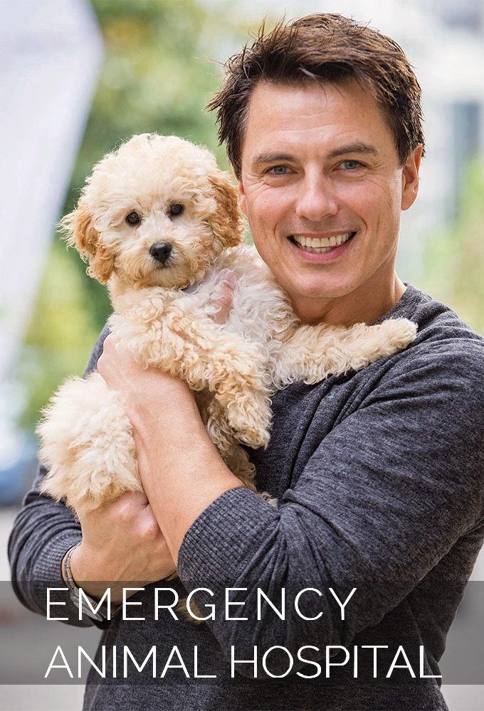 Emergency Animal Hospital comments (TV Series 0)