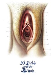 Devil Between The Legs (2019)