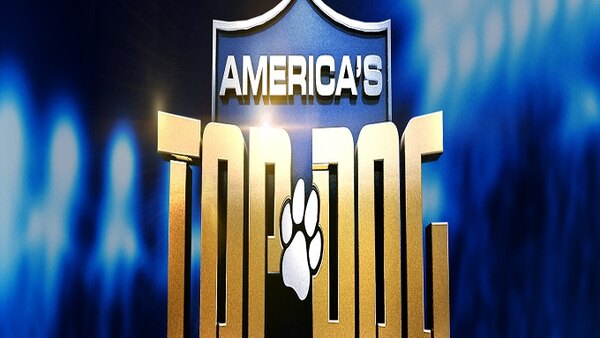 America S Top Dog Season 1 Episode 8