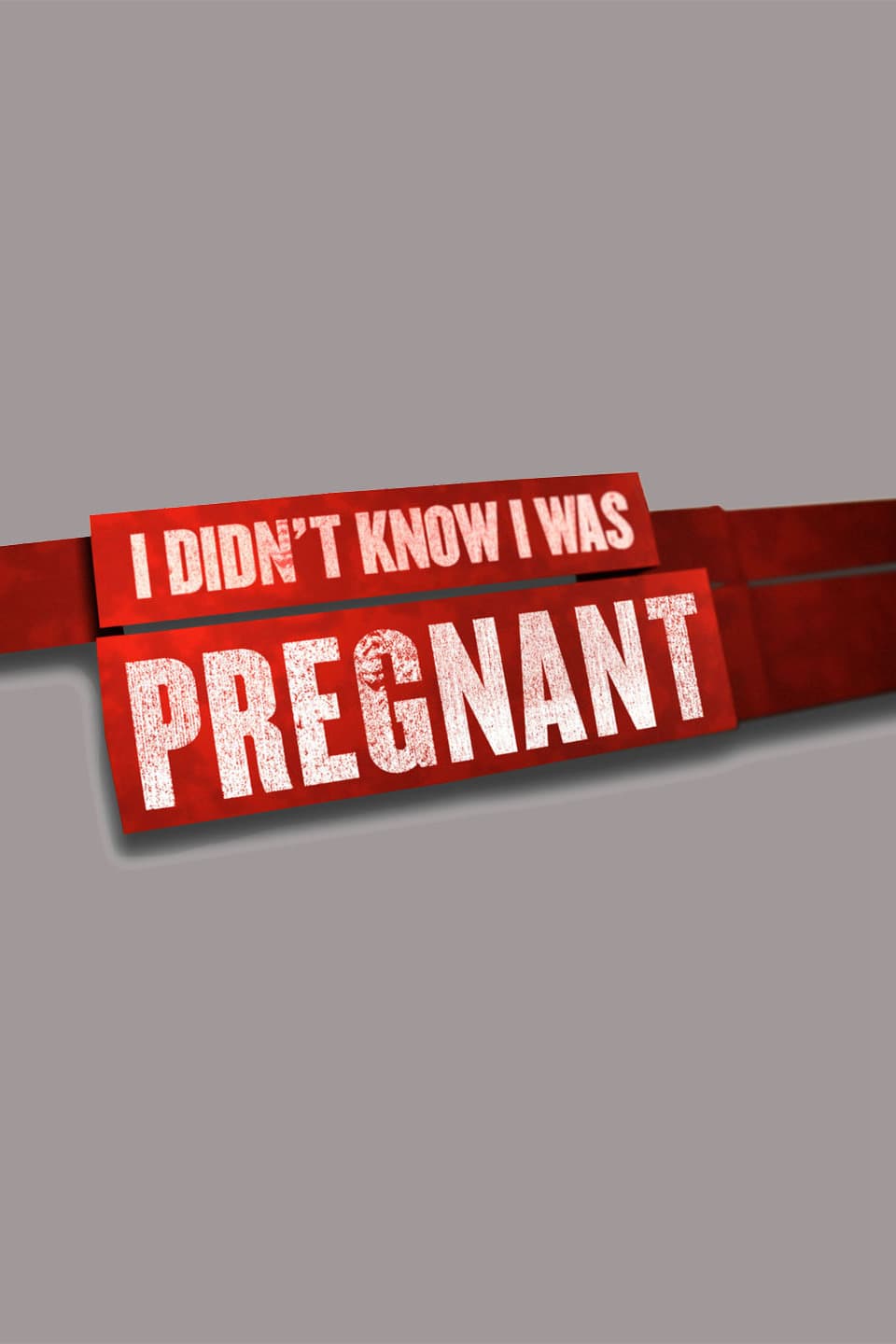 I Didn't Know I Was Pregnant (TV Series 2009 2011)