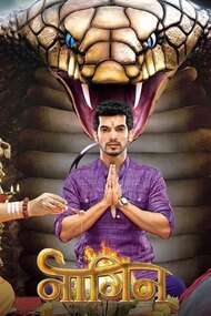 Naagin episodes (TV Series 2015 - 2017)