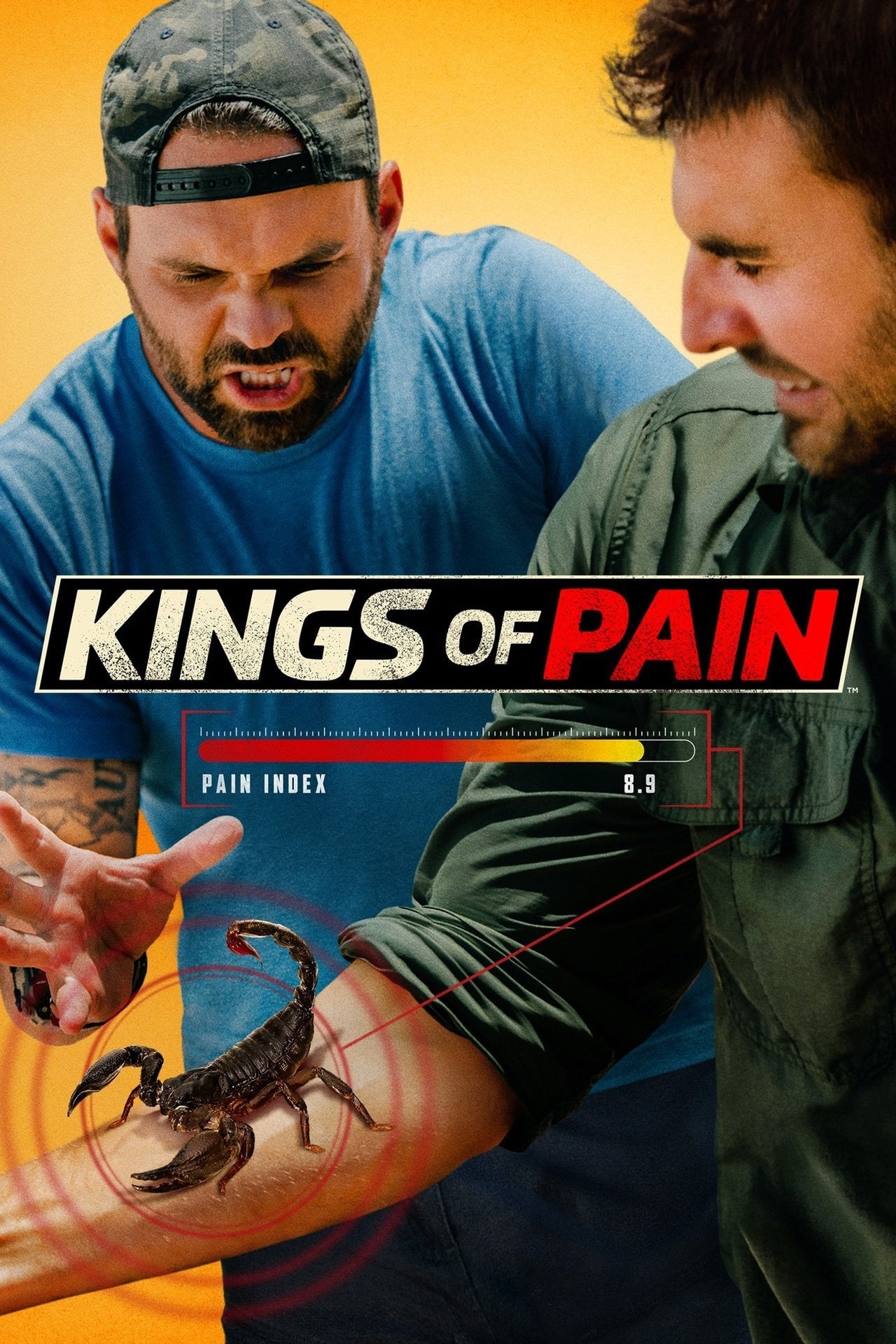 Ranking Of Kings Nombre D'épisodes